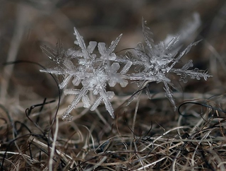Illustration for article titled These Macro Pictures of Snowflakes Are Stunningly Beautiful
